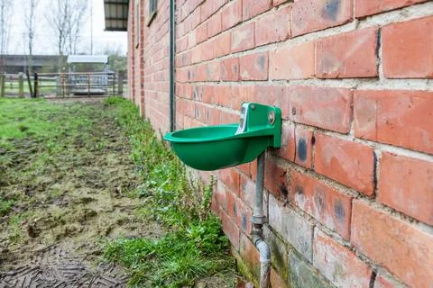 Drinking trough for cattle Stock Photos