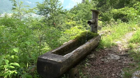 Drinking trough closeup alps mountain hiking path Stock Footage 51611790