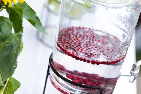 Drinking water with berries Stock Photos