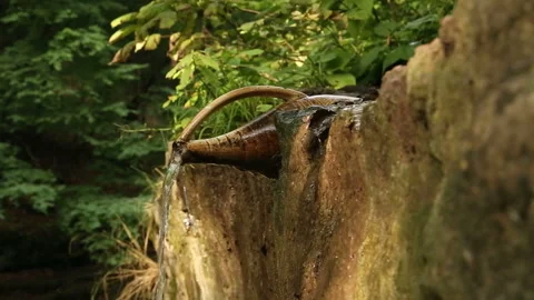 Drinking water flows from a jug in stone in a forest  스톡 동영상 163615462