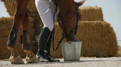 Drinking Water Vídeo Stock 22291565