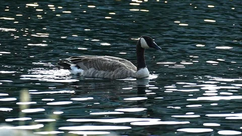 Drinking Water Stockbeeldmateriaal 123947490