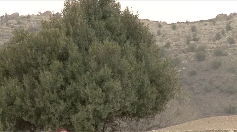 Drinking water through Hand Pump Stock Footage 55390587