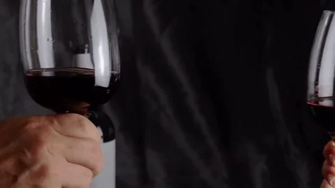Drinking wine in a bar or at home, celebrating, happily friendship, togetherness 库存影片 336580471