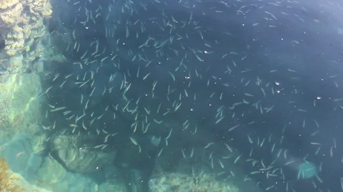 Driouch beach, Morocco Stock Footage 123403443