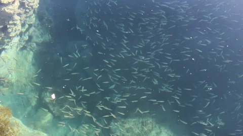 Driouch beach, Morocco Stock Footage 123403486