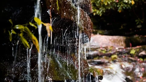 Drip Stock Footage 80899044