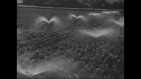 Drip irrigation and the center pivot sprinkler system in action - 1930 Stock Footage 101728190