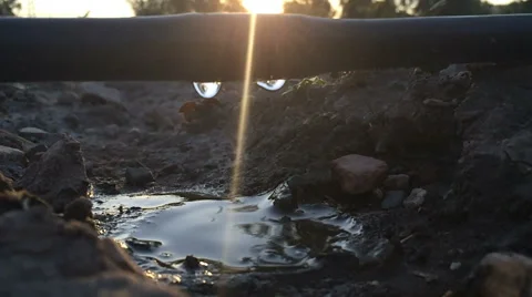 Of drip irrigation and olive plantations (18) Stock Footage 40987940