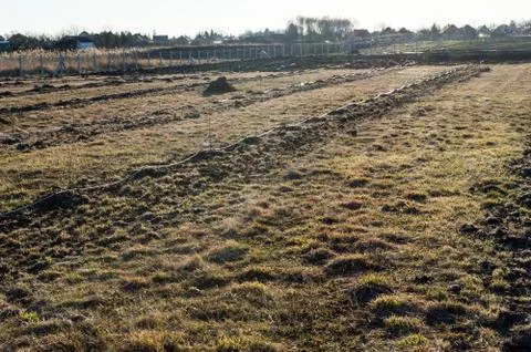 Drip Irrigation of Fruit Trees Stock Photos