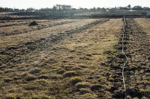 Drip Irrigation of Fruit Trees Stock Photos