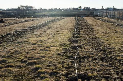 Drip Irrigation of Fruit Trees Stock Photos