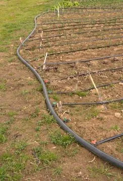 Drip irrigation Stock Photos