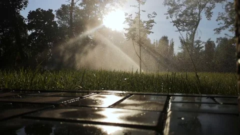 The drip irrigation system automatically irrigates the lawn in a recreation park Stock Footage 115723426