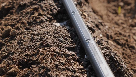 Drip irrigation system detail with dripping tape installed and working 動画素材 129737243