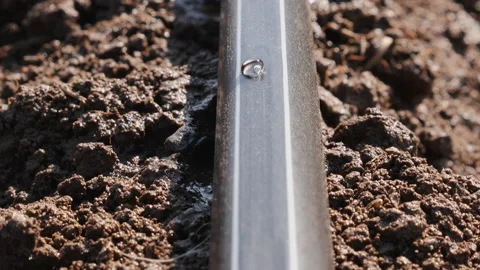 Drip irrigation system detail with dripping tape installed and working. Video stock 149686295