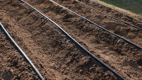 Drip irrigation system detail - saving water and growing food 動画素材 129737175