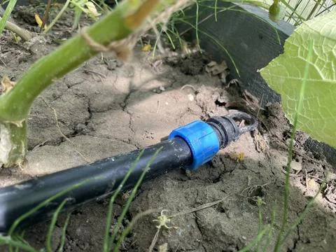 Drip irrigation system in garden field Stock Photos