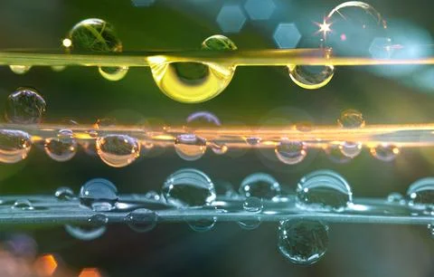 Drip magic, light horizons. Selective, soft focus Stock Photos