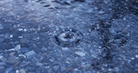 Drip in Puddle Video stock 169924889