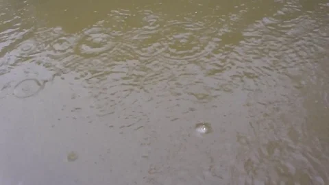 Dripped year rain falling becoming muddy on water Stock Footage 115251488