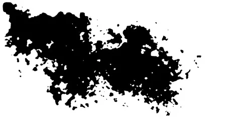 Dripping Black Ink Drops Spreading into Organic Paint Blooms on White Paper 4k Stock Footage 344456321