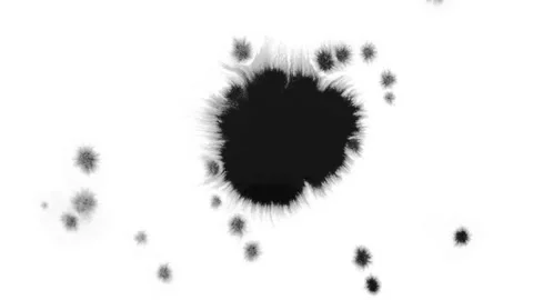 Dripping black spot on white background Stock Footage 125081063