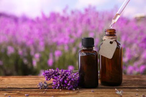Dripping essential oil from pipette into bottle near lavender flowers on wood Stock Photos