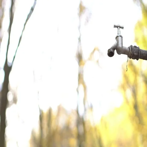 Dripping faucet in forest Stock Footage 69482650