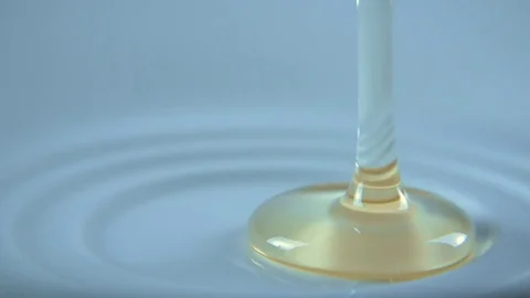 Dripping honey Stock-Footage 81205005