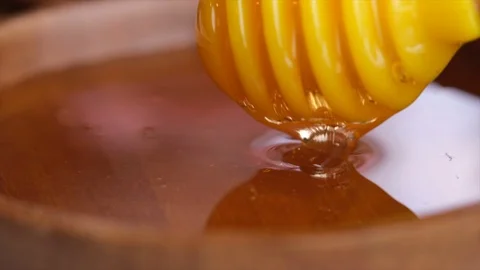 Dripping Honey Stock Footage 102926389