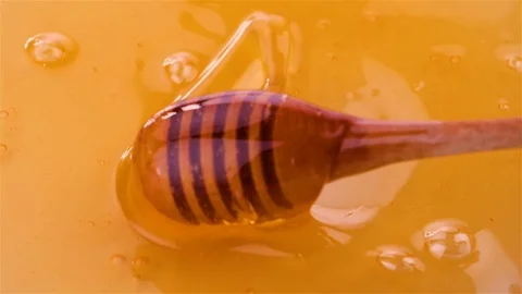Dripping honey in slow motion Stock Footage 74760568