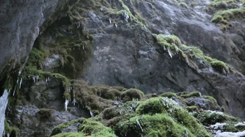 Dripping ice water on a wall  Stock Footage 62776124