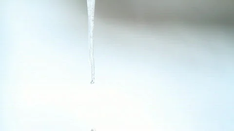 Dripping Icicle. Stock Footage 623339