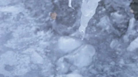 Dripping Icicle Stock Footage 44730422