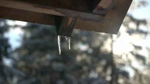 Dripping icicle forms under wooden roof in a snowy landscape Stock Footage 296647520