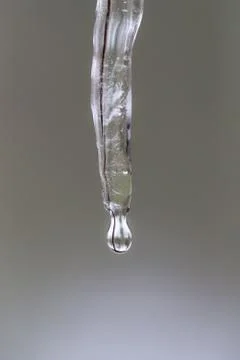 Dripping Icicle Macro Stock Photos