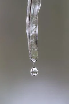 Dripping Icicle Macro Stock Photos