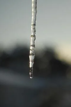 Dripping icicle Stock Photos
