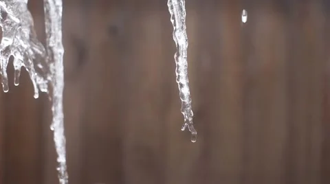 Dripping Icicles Stock Footage 50029104