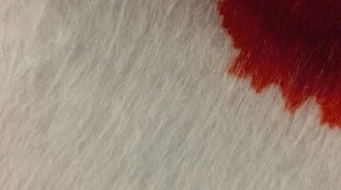 Dripping Ink on fabric Stock Footage 11893829