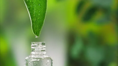 Dripping leaf juice into bottle close-up, plant oil. Making aroma serum on Stock Footage 166571562