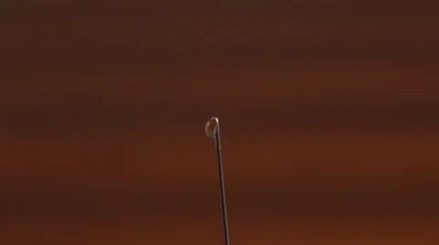 Dripping needle tip Stock Footage 55205946