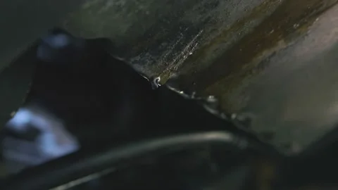 Dripping oil 스톡 동영상 205469027