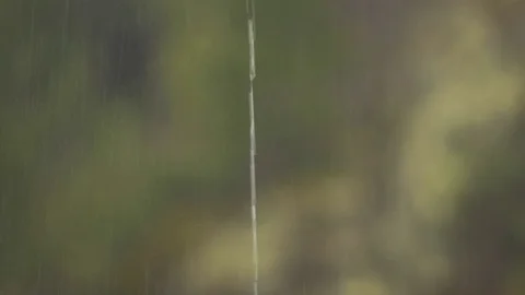 Dripping rain water Stock Footage 102783502