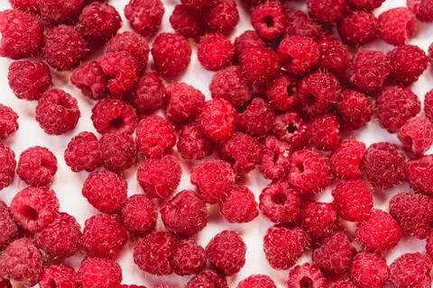 Dripping raspberry on white background. Stock Photos