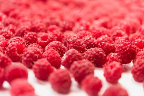 Dripping raspberry on white background. Stock Photos