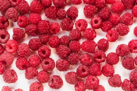 Dripping raspberry on white background. Stock Photos