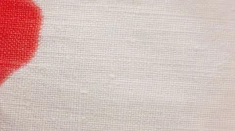 Dripping Red Ink on fabric Video stock 11894090