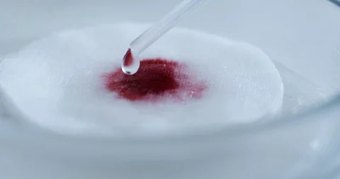 Dripping red liquid into a petri dish Stock Footage 88386372